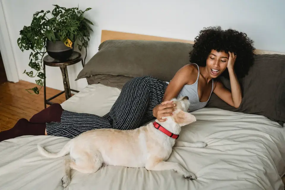 A dog owner offering a soft chew treat to their dog in a home kitchen