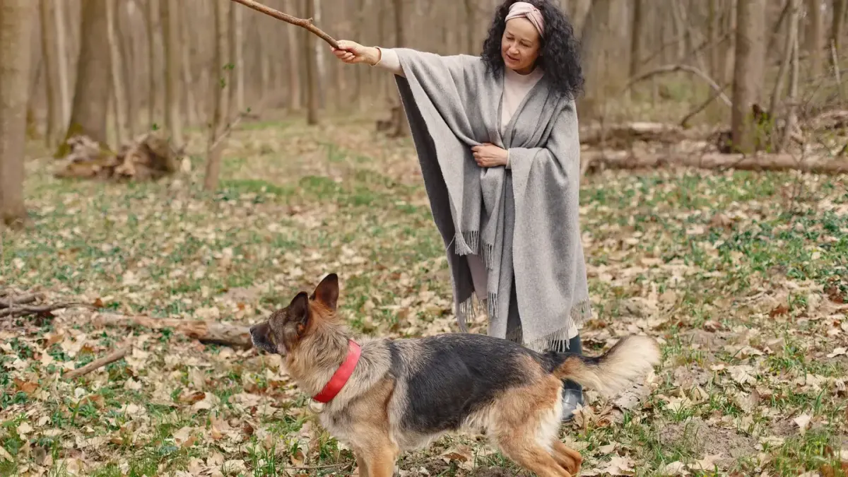 A dog owner working through a training exercise with a trainer in a park