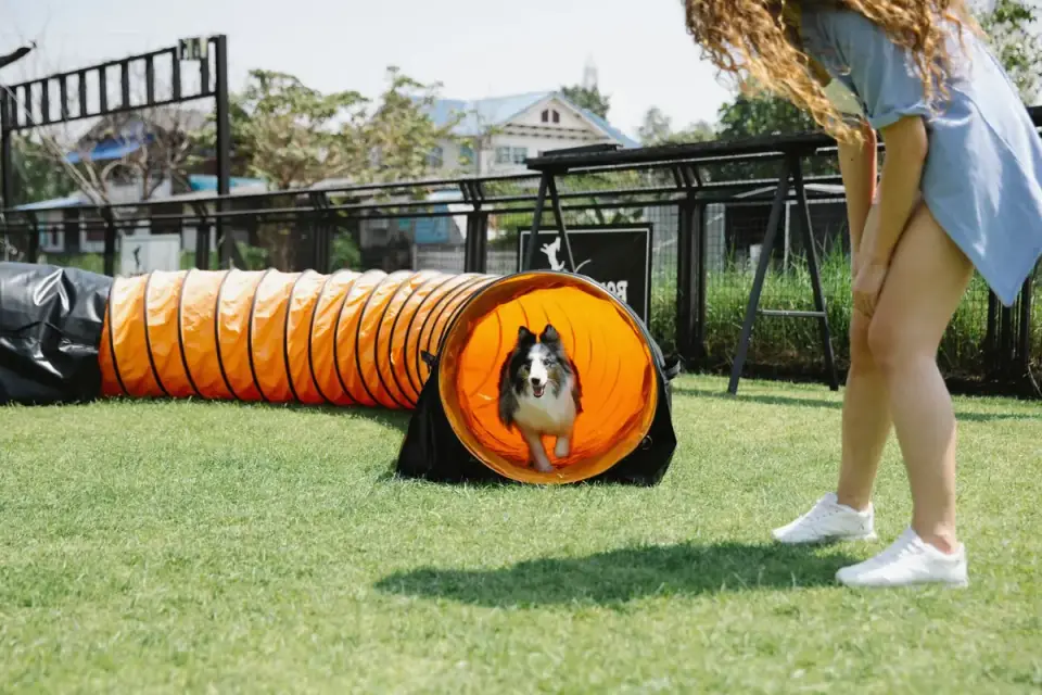 A dog owner working through a training exercise with a trainer in a park