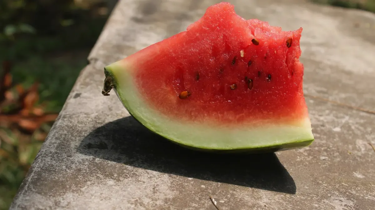 A dog sitting beside a sliced watermelon on an outdoor picnic table