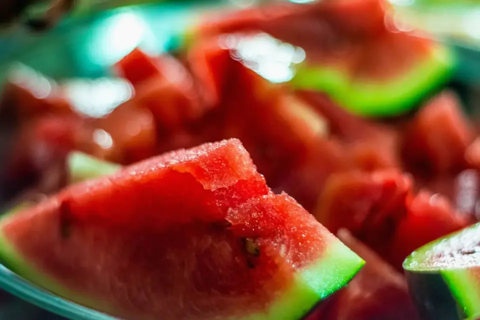 A dog sitting beside a sliced watermelon on an outdoor picnic table