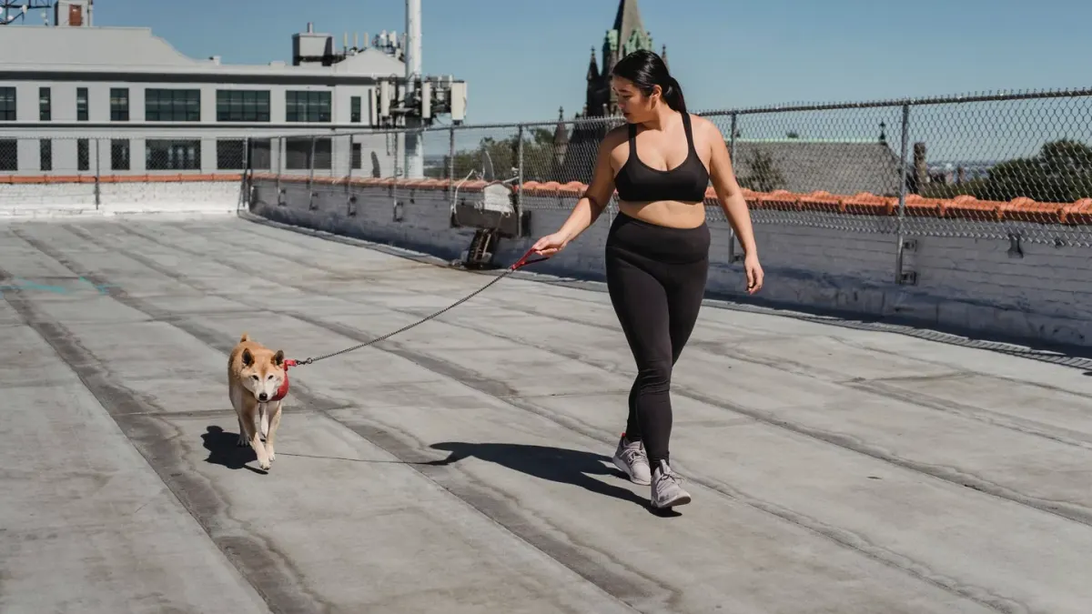 A person jogging alongside a medium-sized dog on a paved park trail