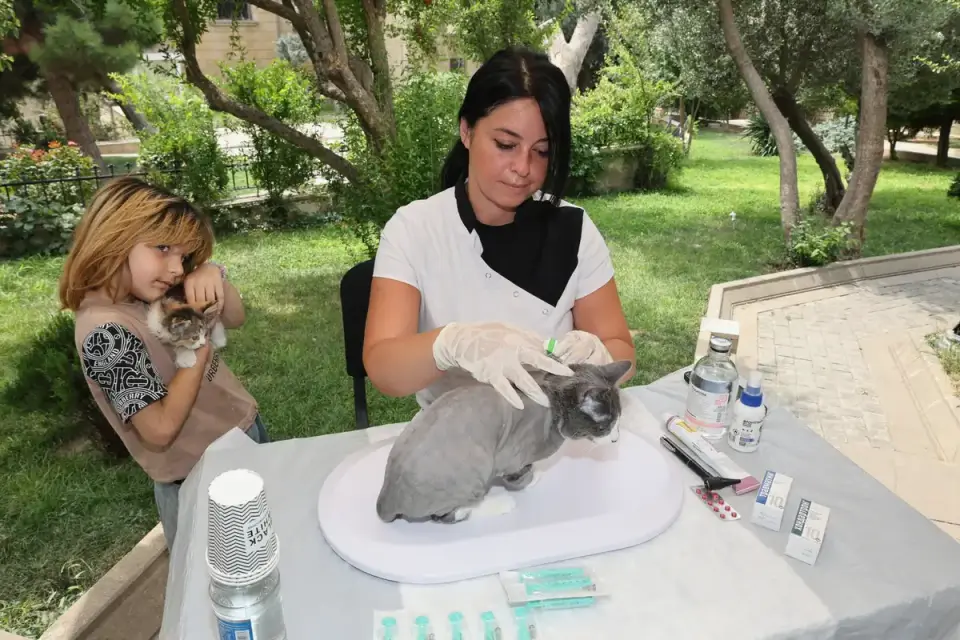 A veterinarian gently examining a puppy during a checkup