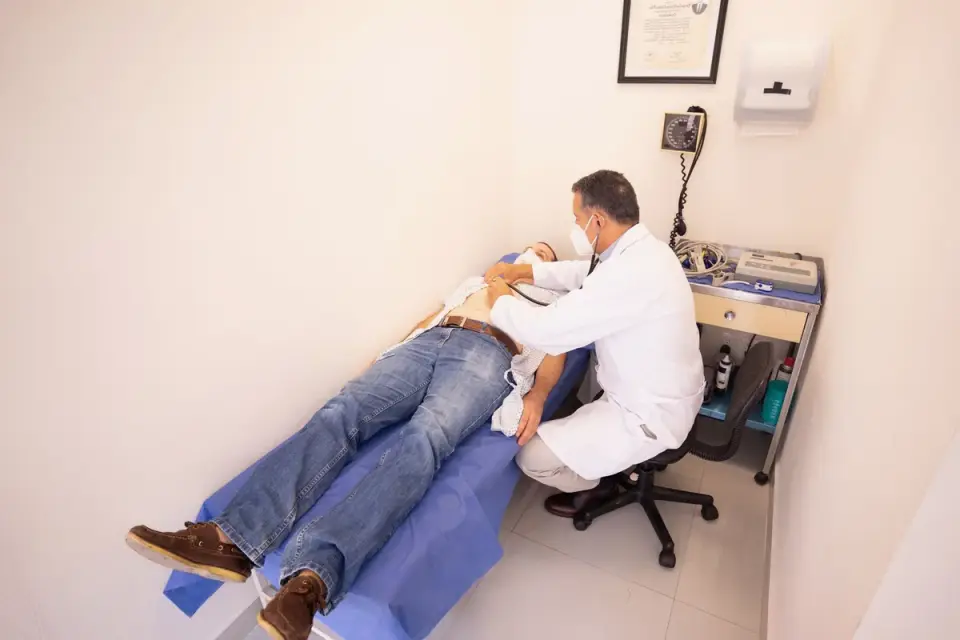 A veterinarian gently palpates a dog's abdomen during a wellness exam