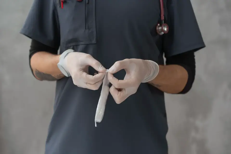 A veterinarian gently palpating a dog's abdomen during a wellness exam