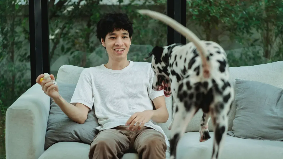 A young dog play-mounting a stuffed toy on a rug