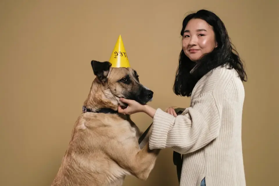 An owner putting on a hat while a dog watches from a few feet away