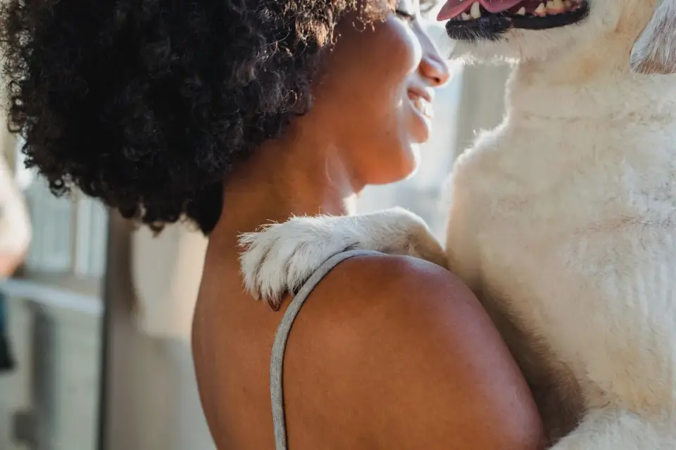 An owner reading a dog supplement label at the kitchen counter