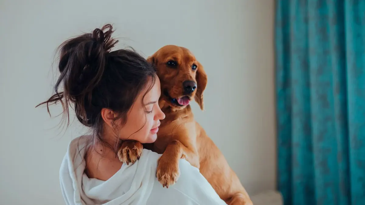 Dog and owner together