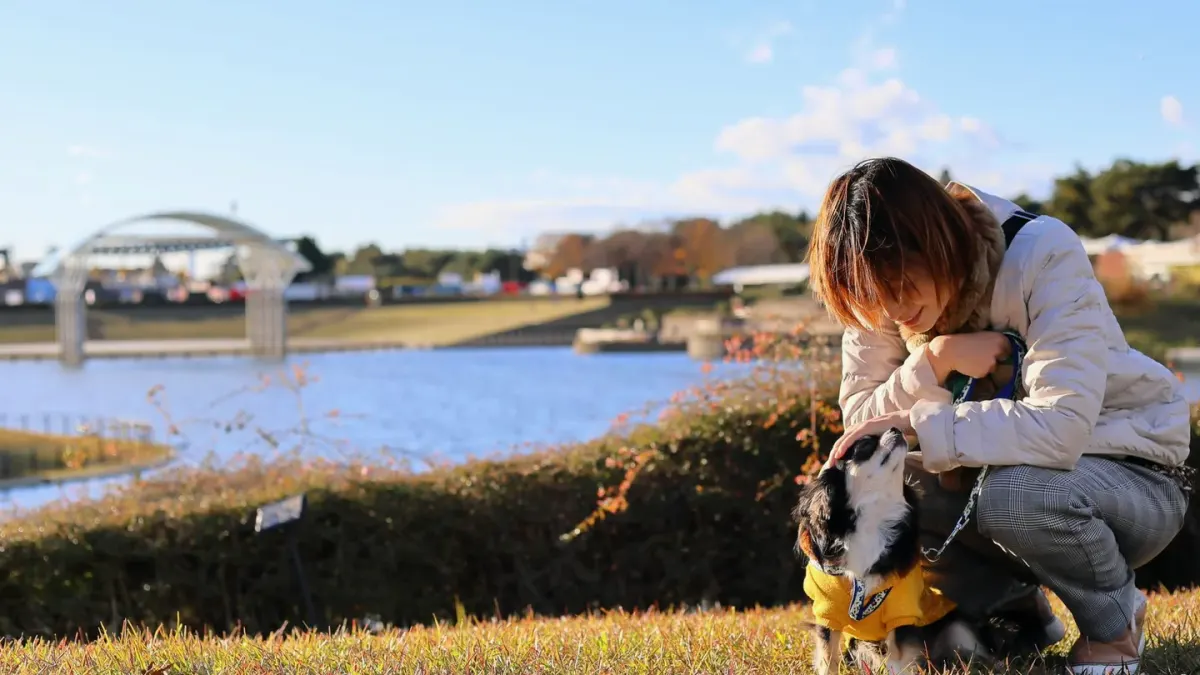 Dog and owner together