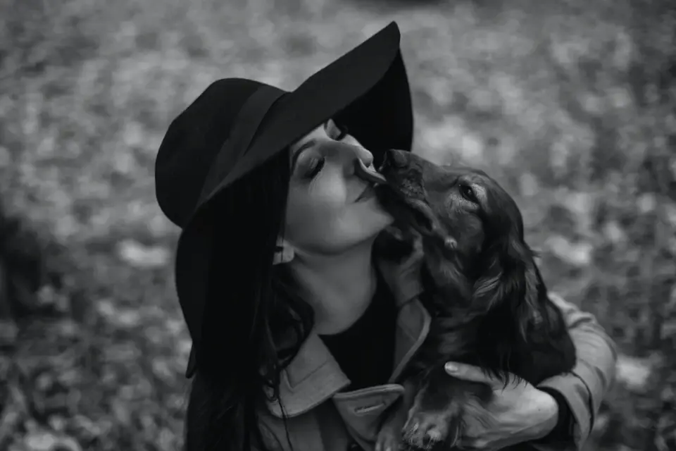 Dog and owner together