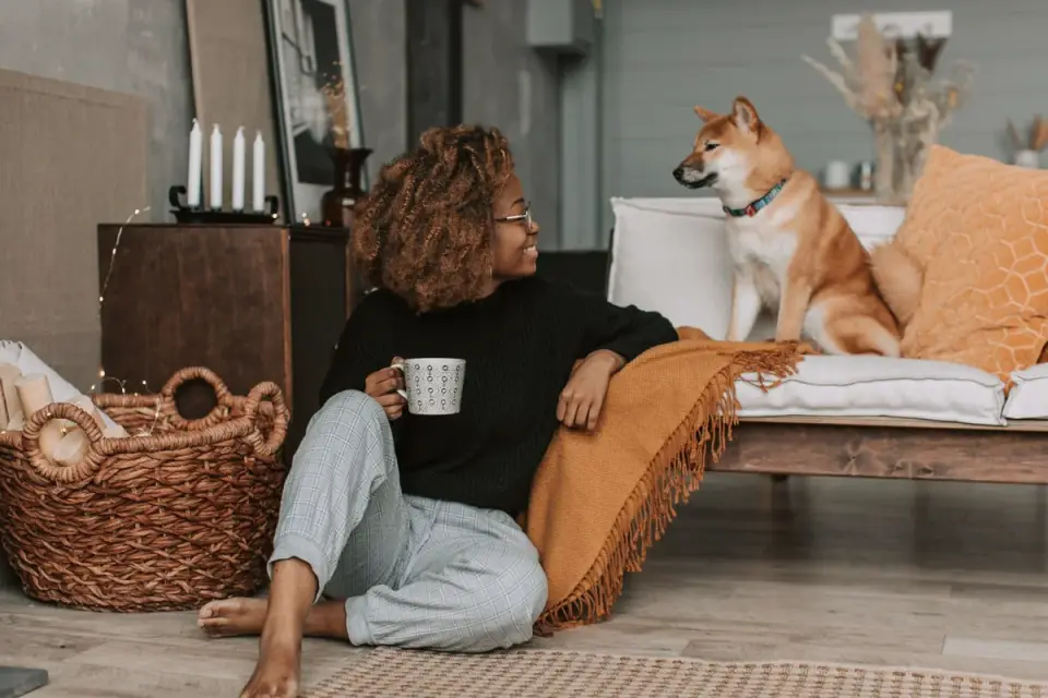 Dog eating from a bowl at home