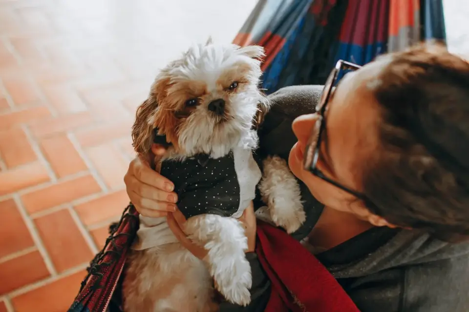 Dog greeting an owner