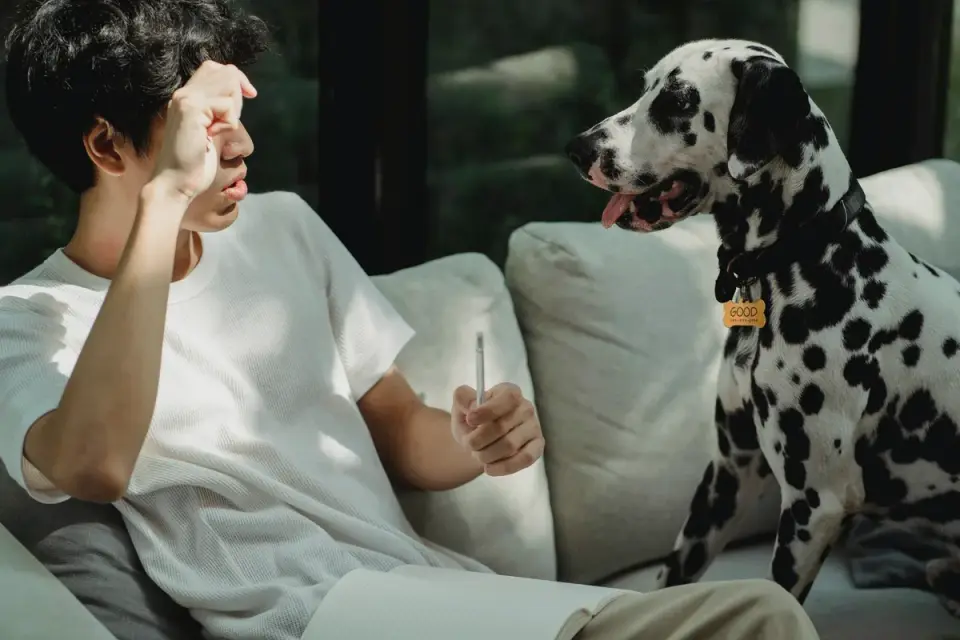 Dog greeting an owner