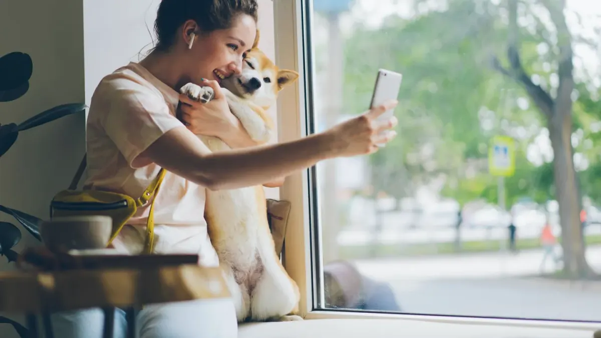 Dog greeting an owner