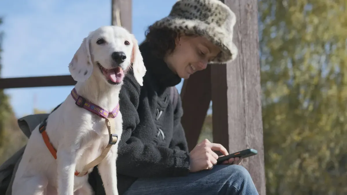 Dog greeting an owner