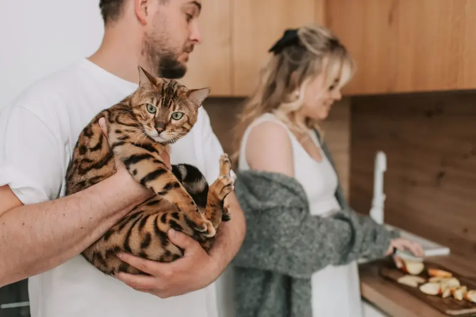 Dog owner preparing a meal