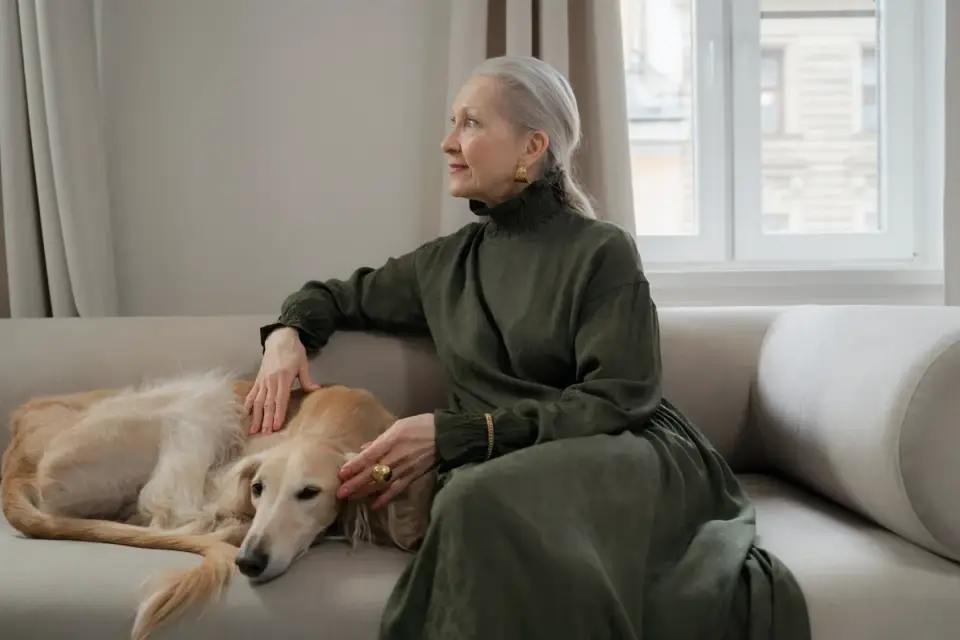 Dog resting beside an owner