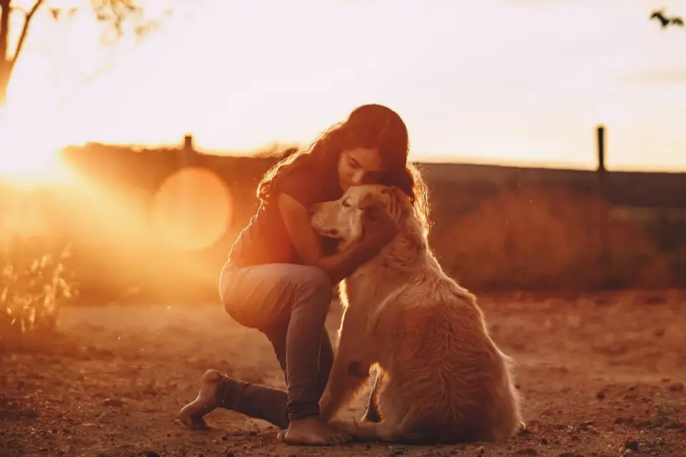 Dog with an owner at home