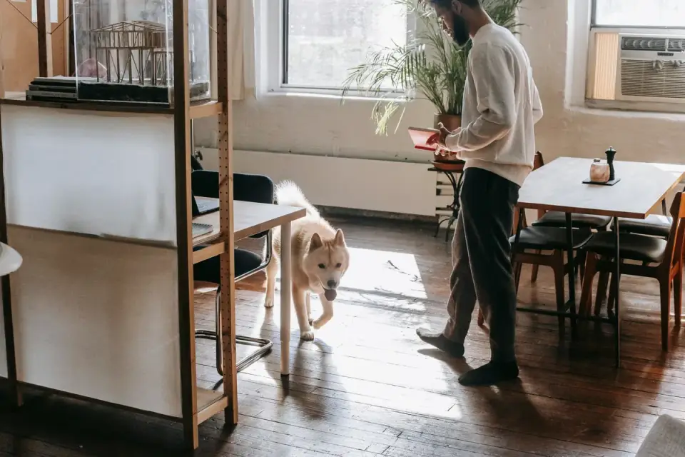 Dog with an owner at home