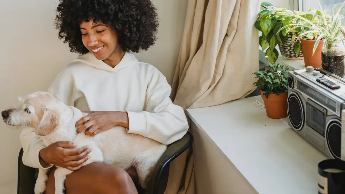 Dog with an owner at home