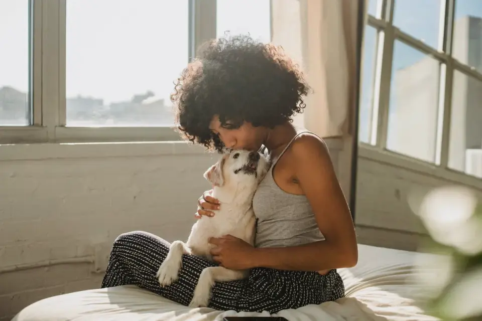 Dog with an owner at home
