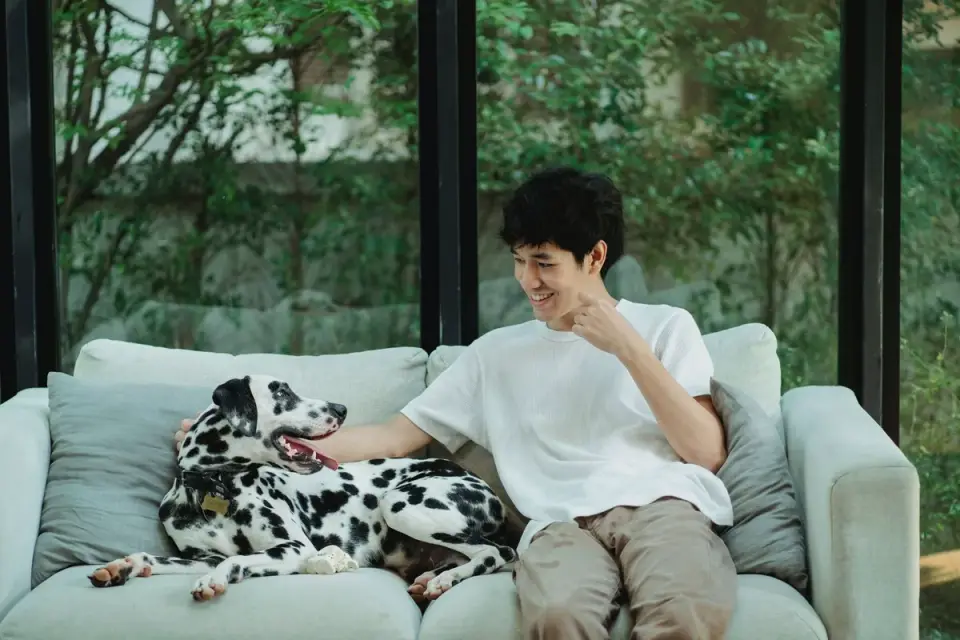 Dog with an owner at home