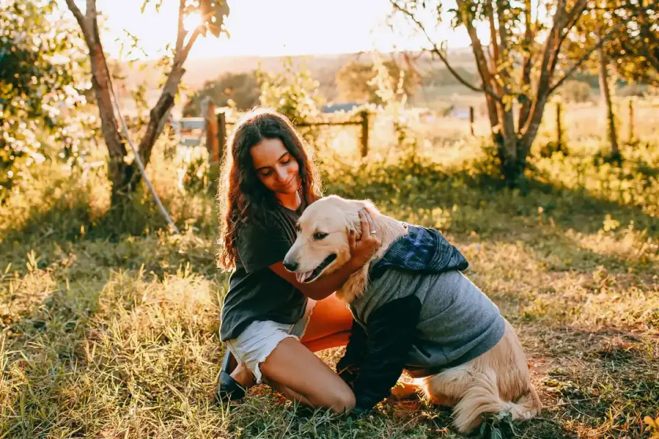 Dog with an owner at home
