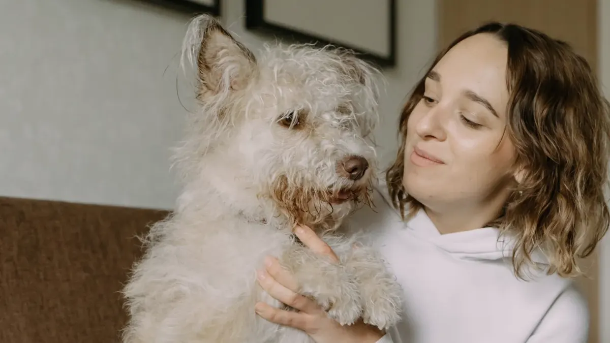 Dog with an owner at home