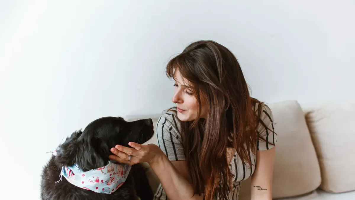 Dog with an owner at home
