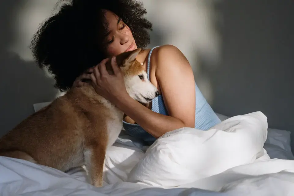 Dog with an owner at home