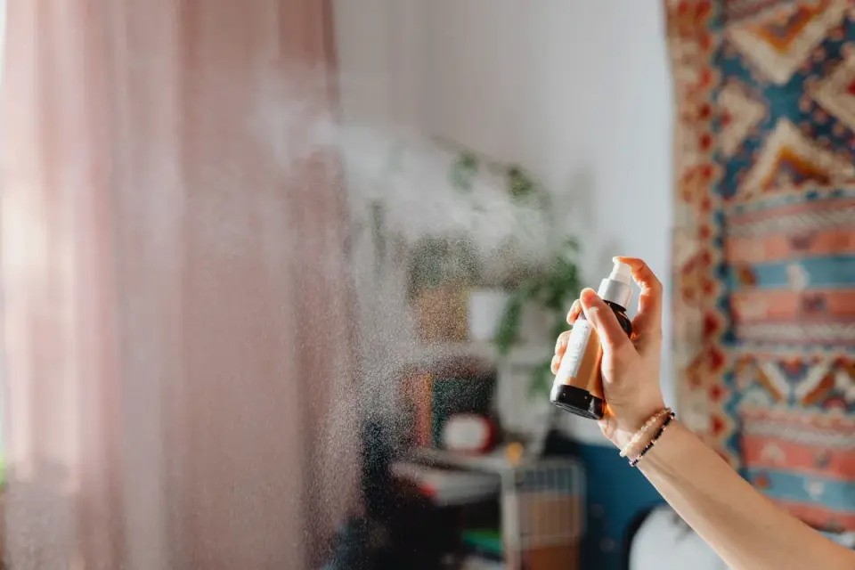 Owner cleaning a small urine mark on a wooden doorframe