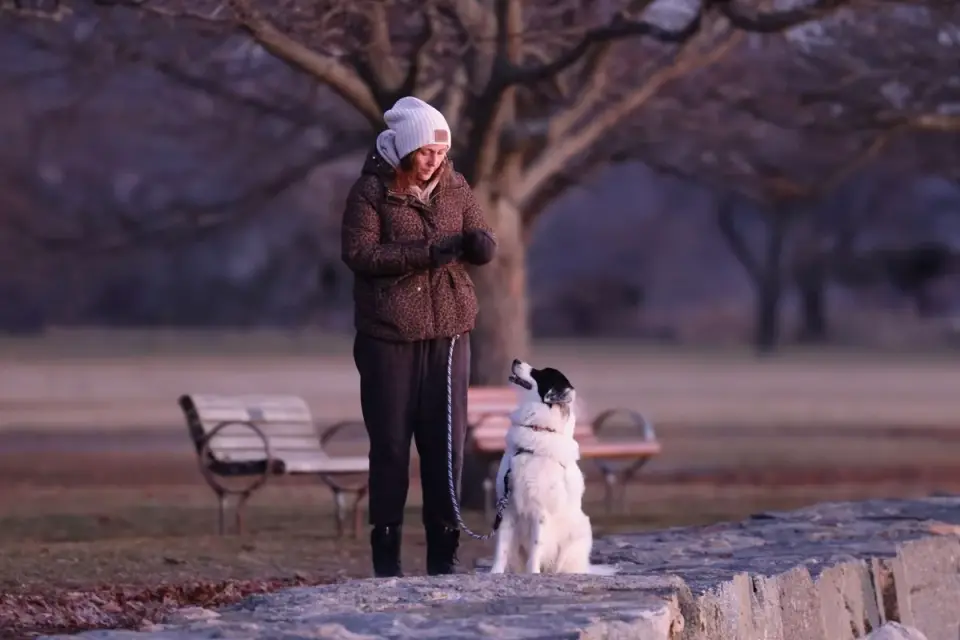 Owner walking a graying senior dog slowly along a paved park path