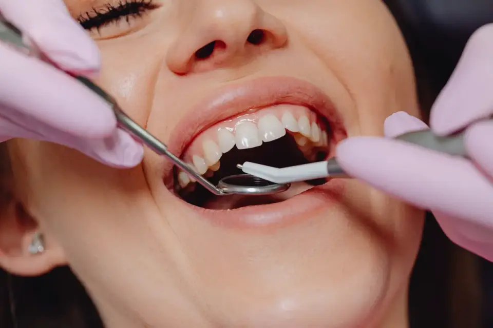 Veterinarian checking a dog's gum color during an exam